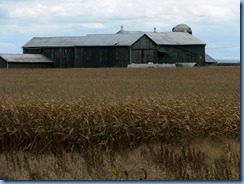 IMG_3835 IMG_3835