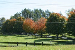 Virginia Trip- October 2011 337-1 Virginia Trip- October 2011 337-1