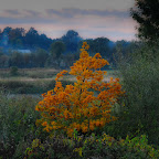 DSC_0043-1.jpg DSC_0043-1.jpg