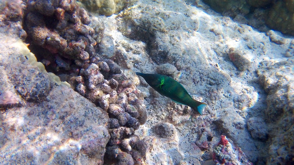 [20121217-100_06634.jpg]