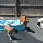 DSCN5076.jpg