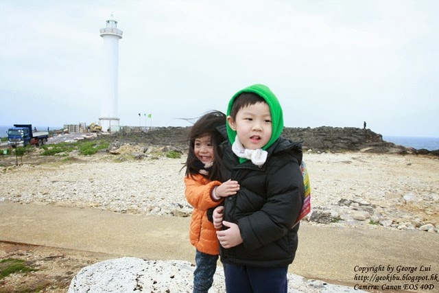 IMG_3130 IMG_3130