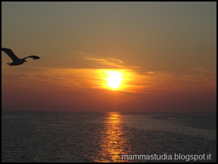 IMG_1440 IMG_1440