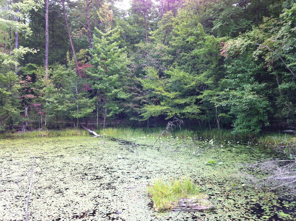 [IMG_3414.JPG%2520%25282%2529%255B6%255D.jpg]