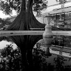 Jardim Bot&Atilde;&cent;nico da Ajuda