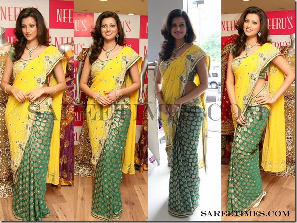 Hamsa_Nandhi_Designer_Saree