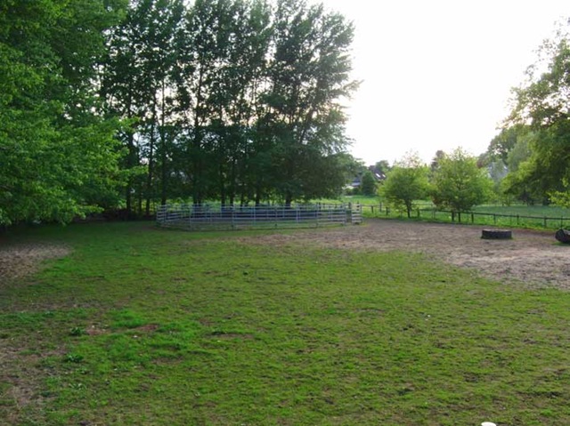 [CIMG7975%255B3%255D.jpg]