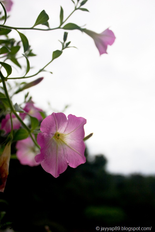 [IMG_95453.jpg]