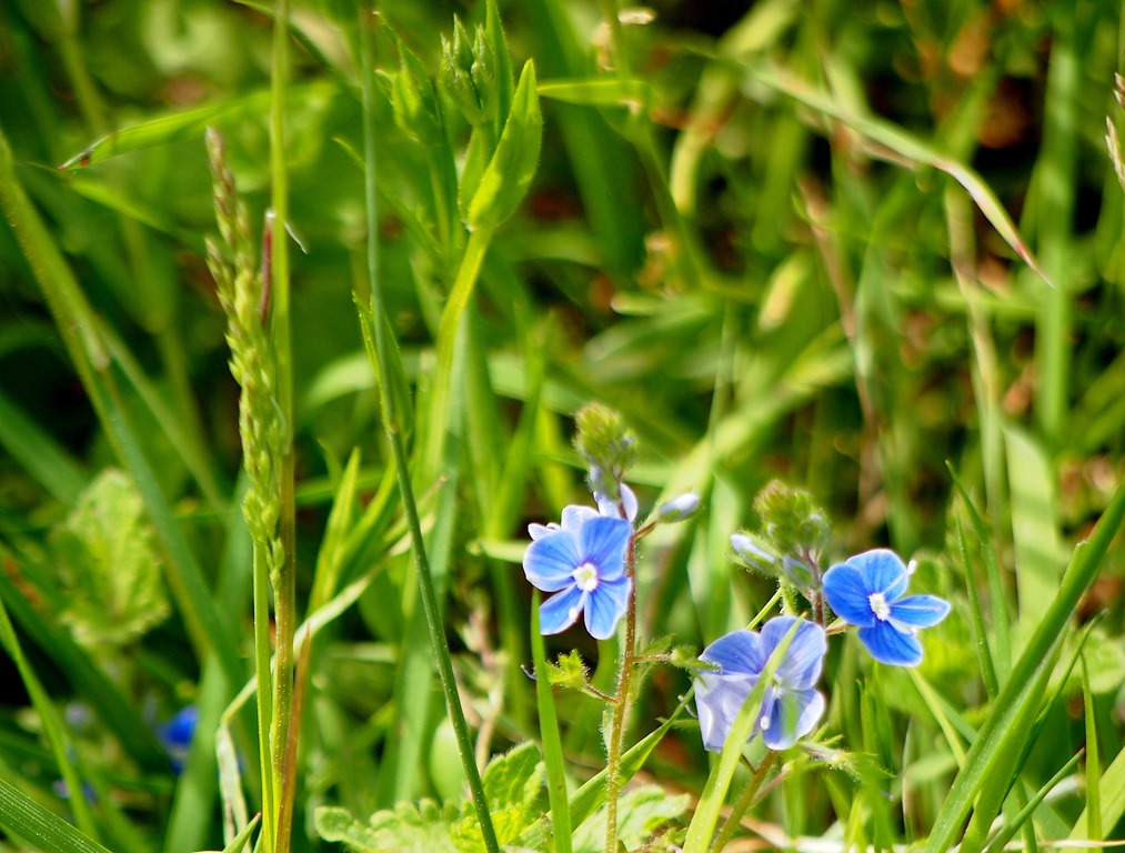 [3%2520June%25205%255B3%255D.jpg]