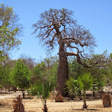 MorambaBay MorambaBay