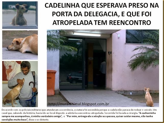 CADELINHA QUE ESPERAVA PRESO NA PORTA DA DELEGACIA CADELINHA QUE ESPERAVA PRESO NA PORTA DA DELEGACIA