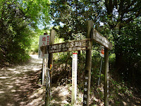 P1110023.JPG Photo