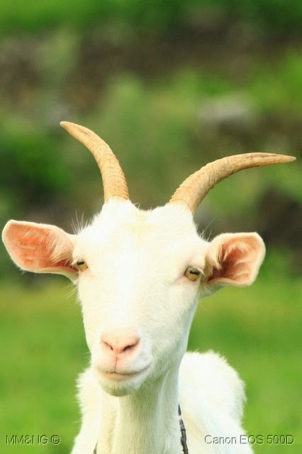 [IMG_4179%255B5%255D.jpg]