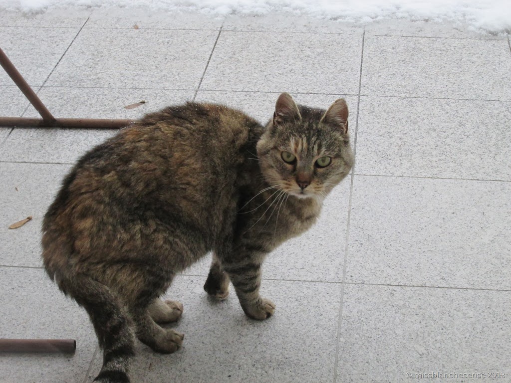 [IMG_0552%255B8%255D.jpg]