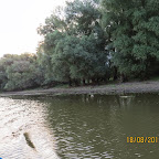 IMG_8202.JPG