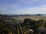 IMG00608-20100128-1523.jpg