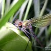 dsc03424.jpg