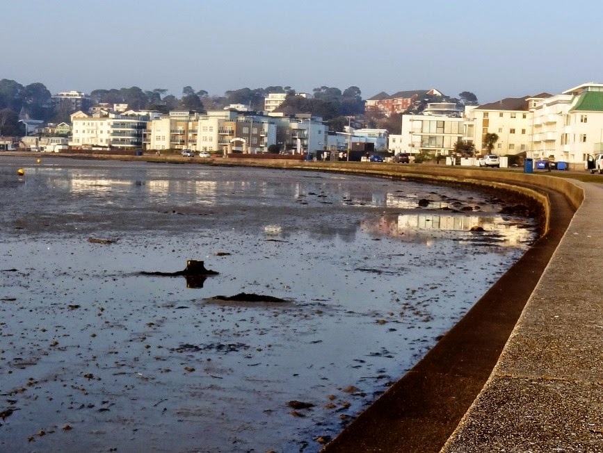 [DSC01840%2520%25281300x975%2529%255B10%255D.jpg]