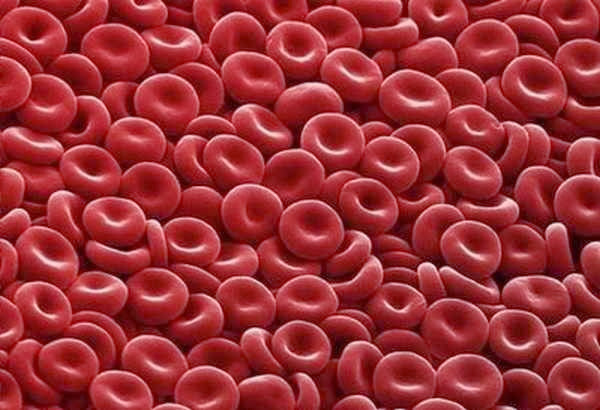 7- Glóbulos vermelhos 7- Glóbulos vermelhos