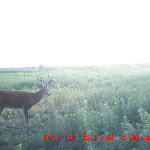 MDGC0569.JPG