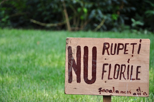 Don't pick up flowers