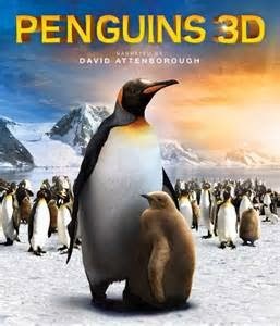 [penguins%255B2%255D.jpg]