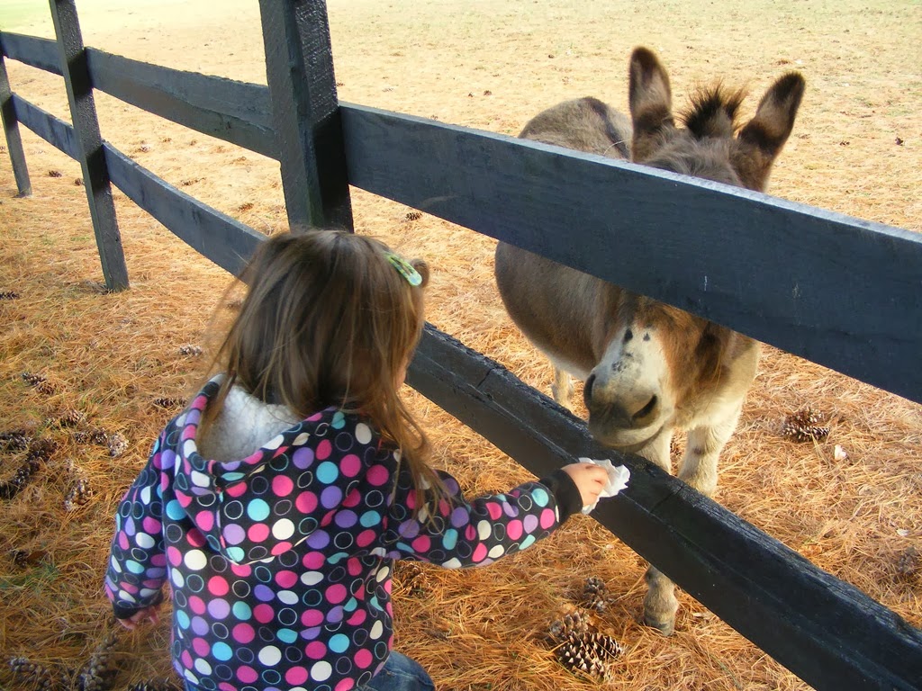 [DSCF9034%255B4%255D.jpg]