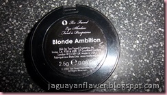 Blonde Ambition (4) Blonde Ambition (4)