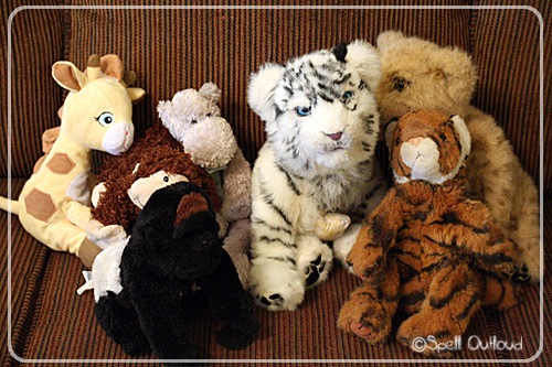 [playingzoo%255B5%255D.jpg]