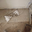PICT0079.JPG