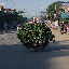 This motorbike was performing quite well. Keep in mind this is only a LITTLE strange compared to some of the other stuff we saw packed on these. We saw one carrying 5 adults.