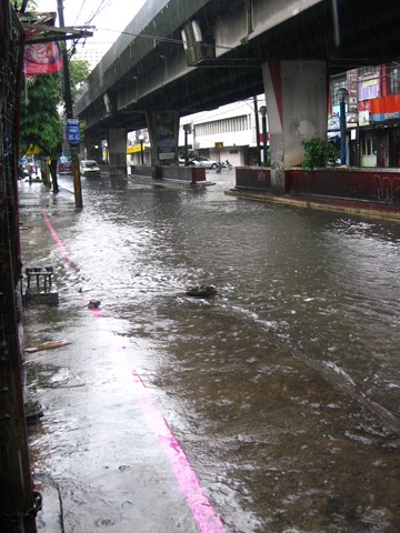 [IMG_00973.jpg]