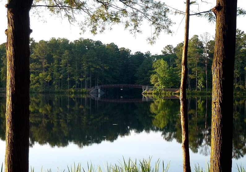 [01d---Cheraw-State-Park---view-of-br%255B3%255D.jpg]