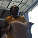 DSC_2629.JPG