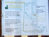 Alviso Ride 006.JPG Photo