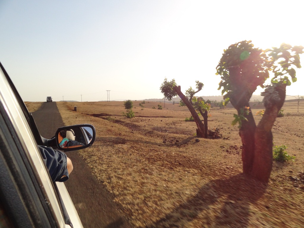 [DSC00407%255B4%255D.jpg]