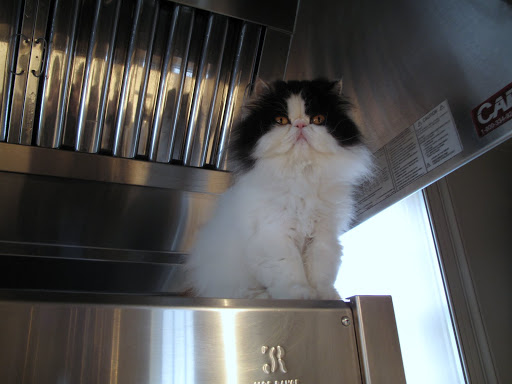 Silly Frenchies!  I have no desire to be part of a recipe.