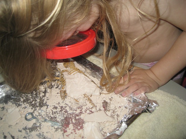 [IMG_7267%255B6%255D.jpg]