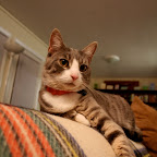 ozzY_adopted_by_john_2.jpg