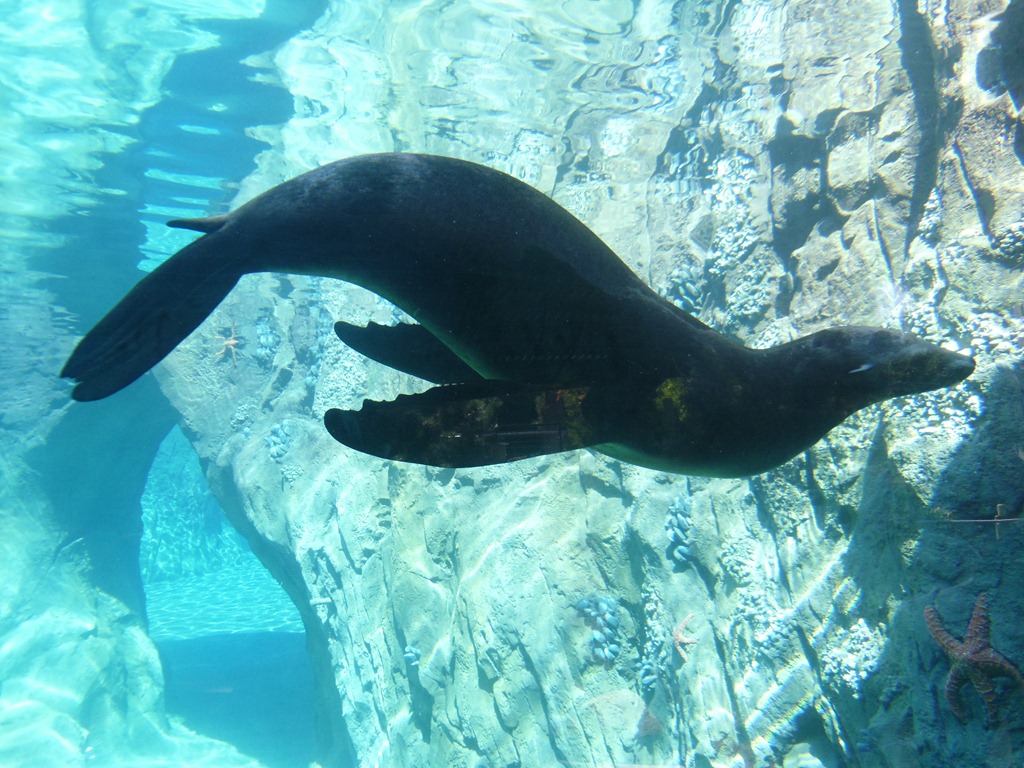 [Fresno%2520Zoo%2520017%255B3%255D.jpg]