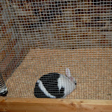 DSC_0465.JPG