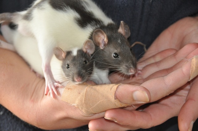 [DSC_0220%255B4%255D.jpg]