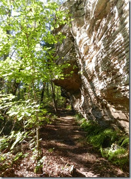 petitjean_7hollowstrail_1