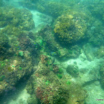 DRK 42nd trip 1-5-12 - P1150234.JPG