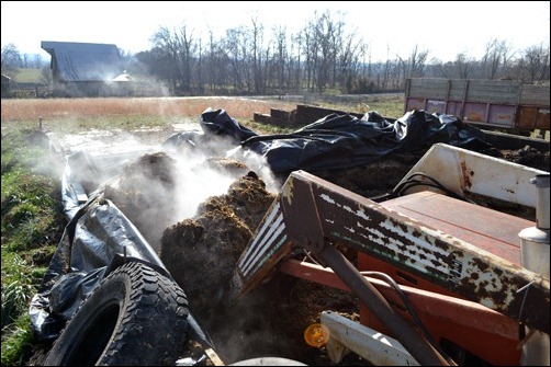 steamy silage steamy silage