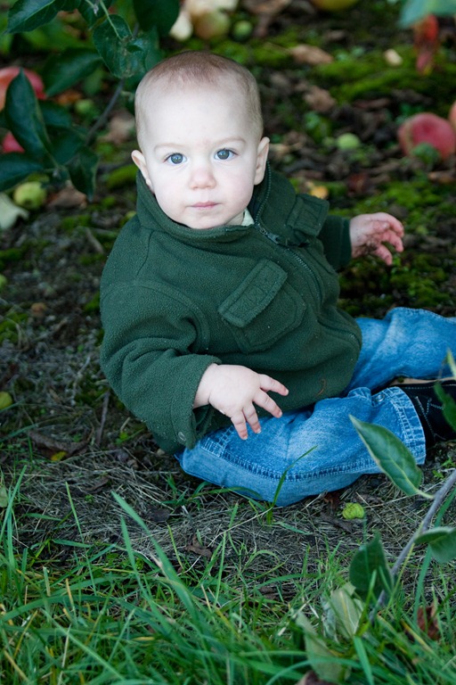 [20111015-IMG_78133.jpg]