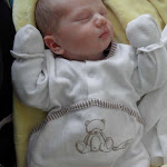 SAM_7104.JPG