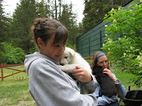 some husky puppies!