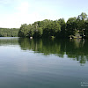 dsc03822.jpg