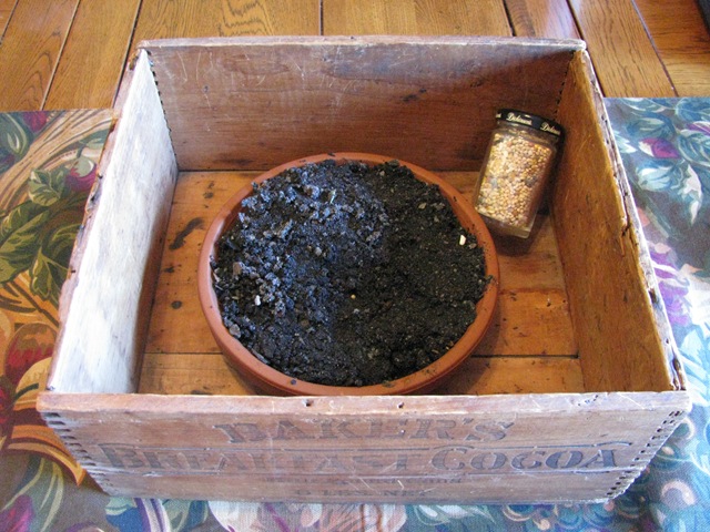 [IMG_3239%255B4%255D.jpg]